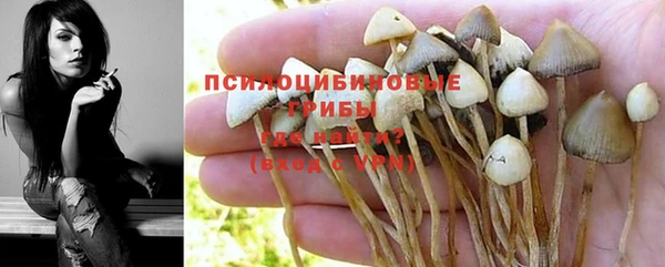 стафф Покровск