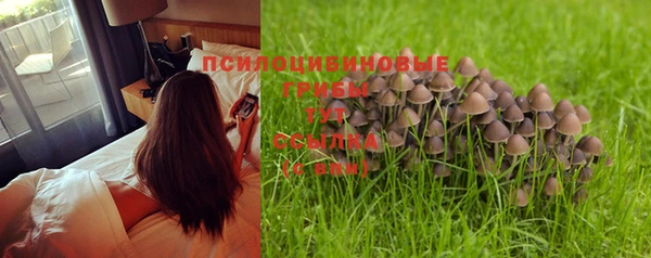 spice Покачи