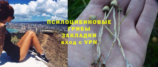стафф Покровск