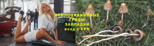 spice Покачи