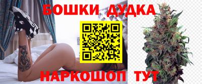 шишки Балашиха