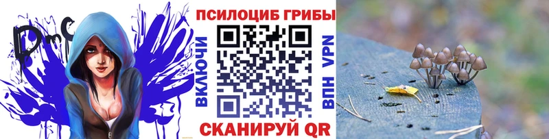 hydra ССЫЛКА  Борзя  Псилоцибиновые грибы мицелий 