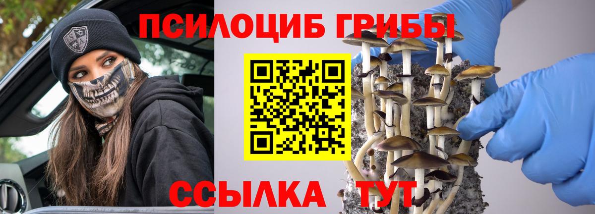 Галлюциногенные грибы Psilocybe  Вход с VPN  Борзя  Галлюциногенные грибы MAGIC MUSHROOMS 