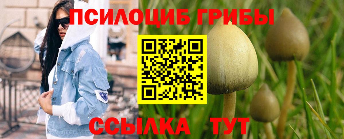 Галлюциногенные грибы Magic Shrooms Борзя